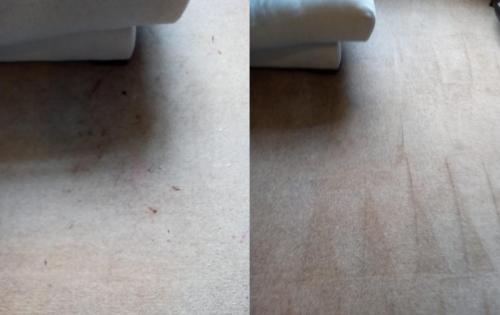 Small stains cleaned for free - carpet cleaning London